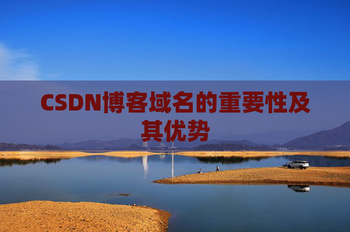 CSDN博客域名的重要性及其优势